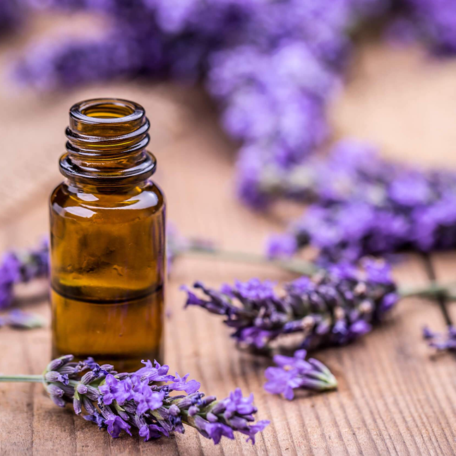 oil lavender