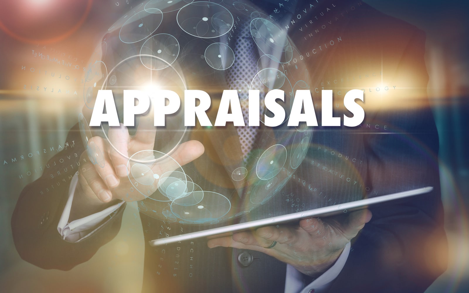 Business Appraiser