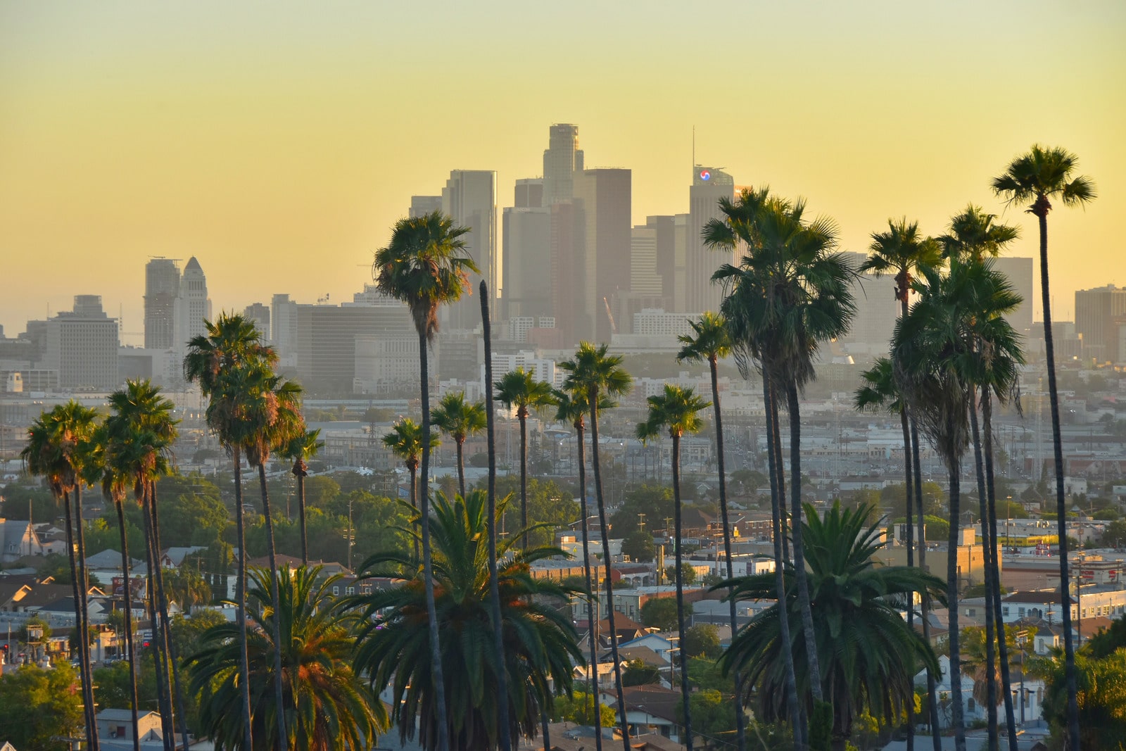 Top 10 Best Business Brokers in California 2024