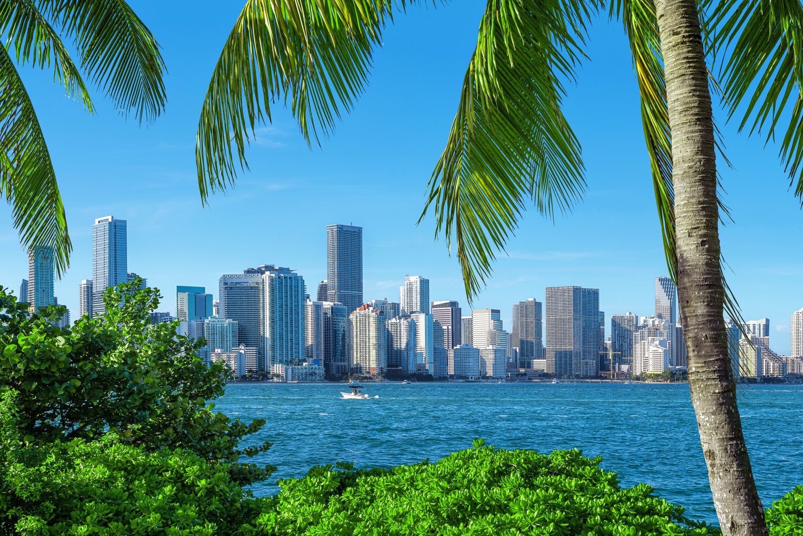 Top 10 Best Business Brokers in Miami 2024