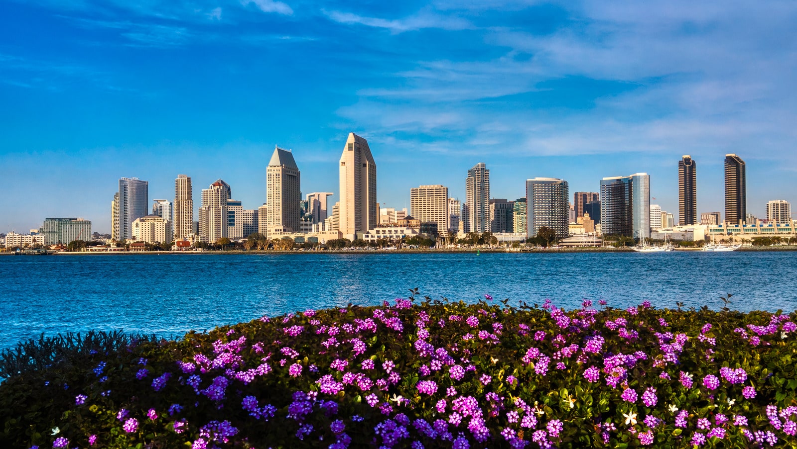 Top 10 Best Business Brokers in San Diego 2024