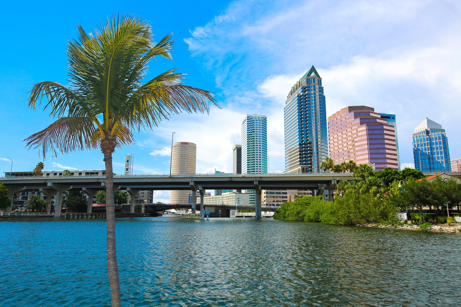 Top 10 Best Business Brokers in Tampa 2024
