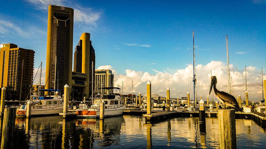 Corpus Christi Business Broker: Selling and Buying Companies on the Texas Gulf Coast